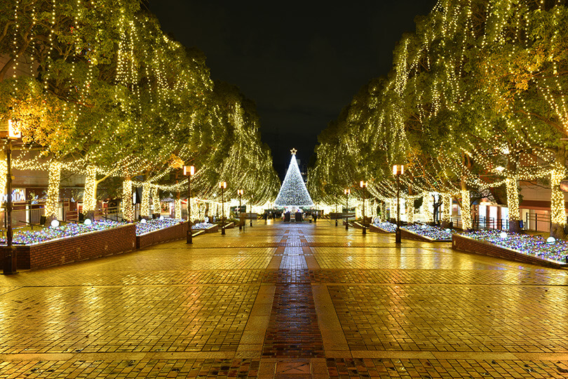 イルミネーション点灯式