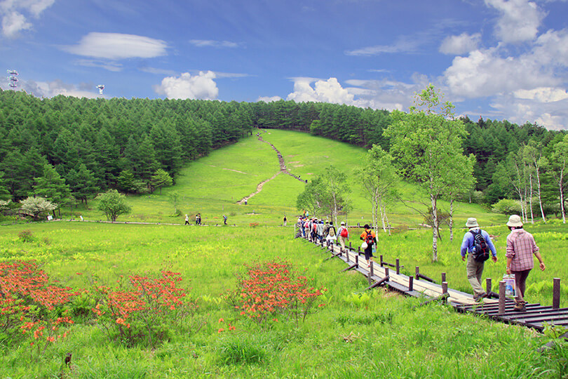 友好都市『富士見町』